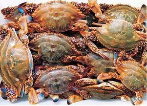 娱乐头条 第4页