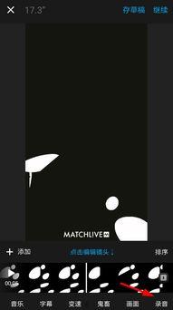 给猫配音视频,跟随猫咪演绎百变声线