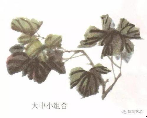 牡丹叶子的画法视频,一笔一划展现国色天香